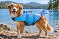 Blue Mermaid Dog Life Jacket- Large Dog