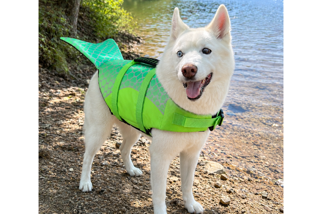 Green Mermaid Dog Life Jacket - Medium dog