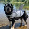 Shark Dog Life Jacket- Large dog